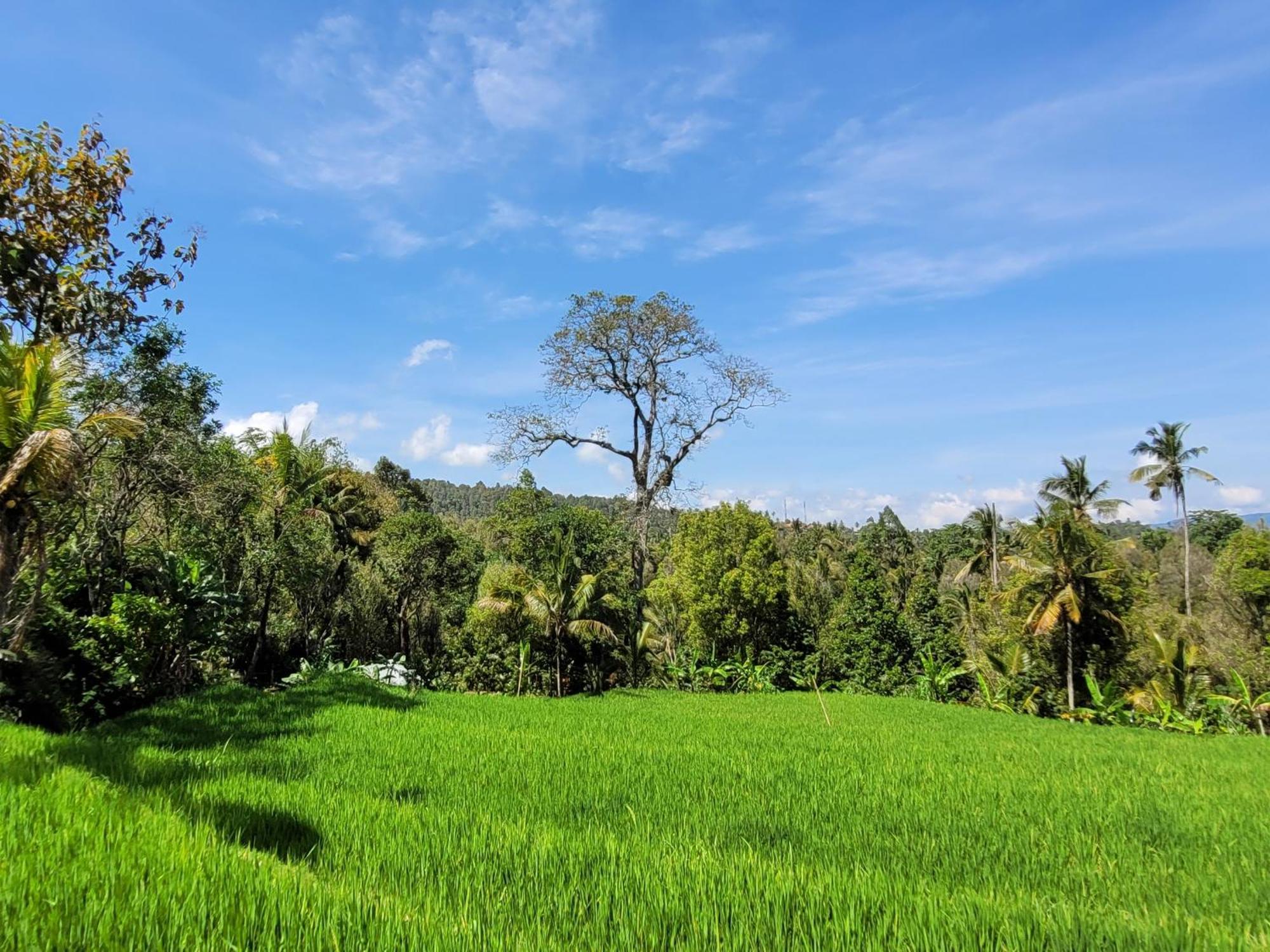 Апартаменты Umah Yugadi Bali Мундук Экстерьер фото