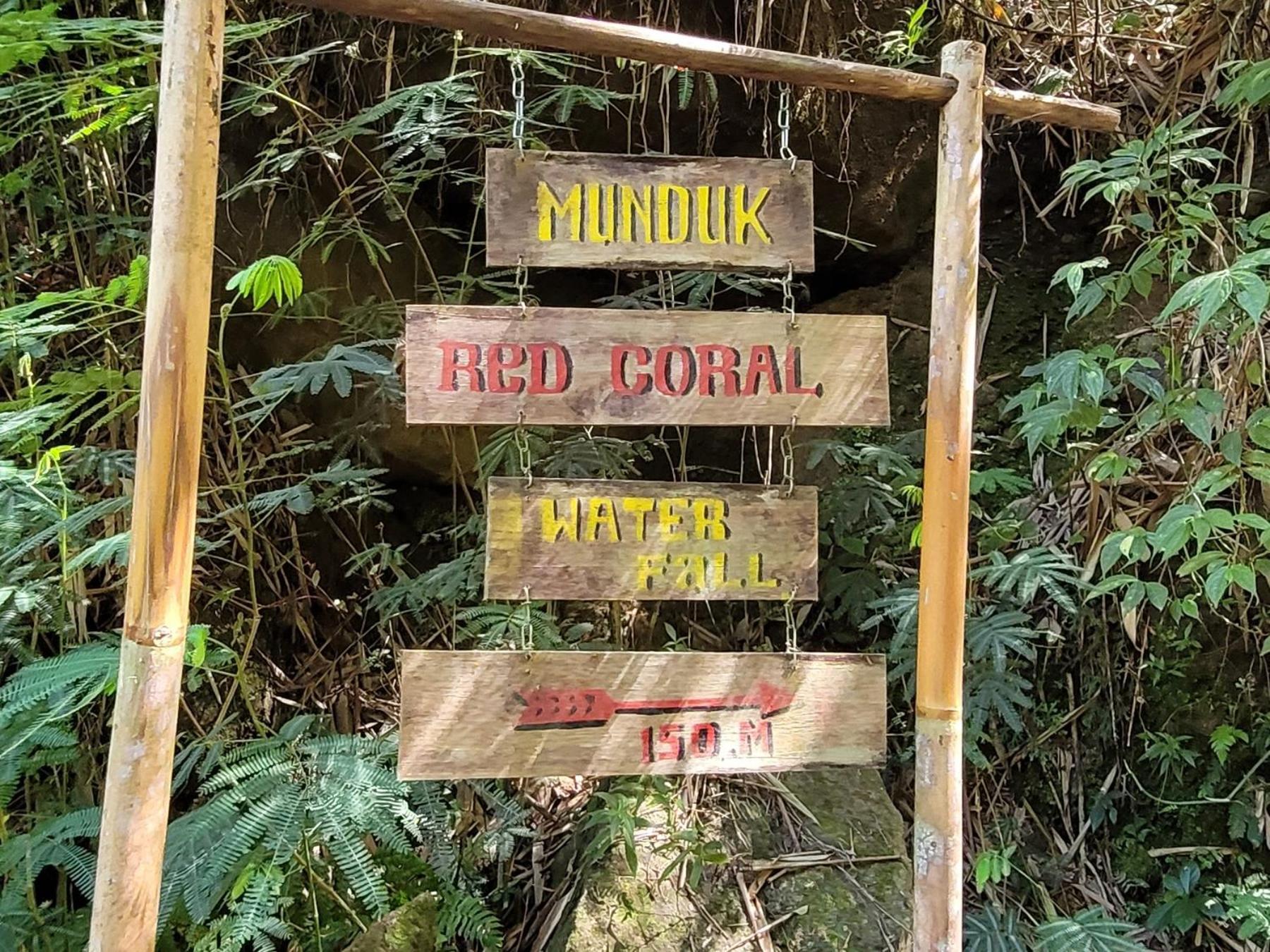 Апартаменты Umah Yugadi Bali Мундук Экстерьер фото