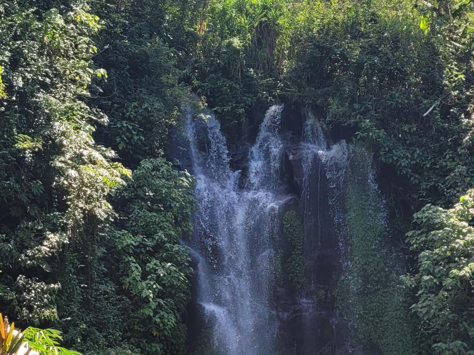 Апартаменты Umah Yugadi Bali Мундук Экстерьер фото