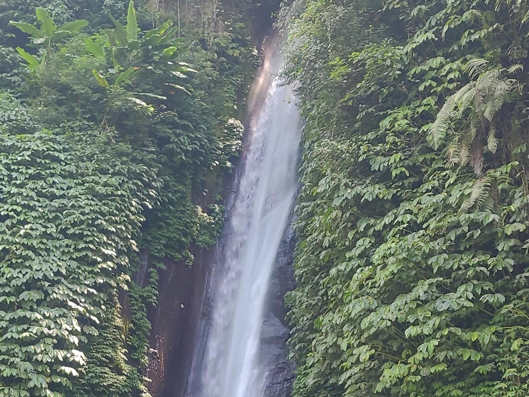 Апартаменты Umah Yugadi Bali Мундук Экстерьер фото
